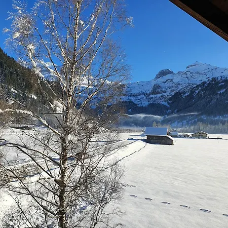 Burgbuehler Bed & Breakfast Lenk