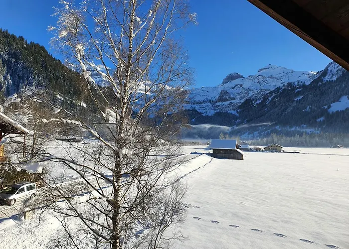 Burgbühler Bed & Breakfast Lenk